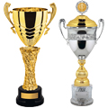 Престижные кубки Престижные кубки