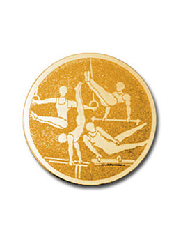 Вкладыш в медаль/ приз/ кубок - BM#A-150