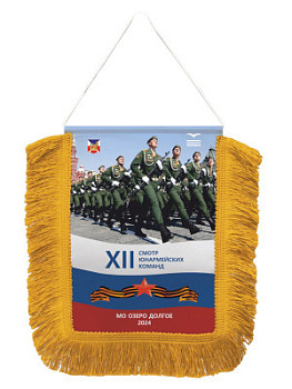 Вымпел наградной с бахромой - SU126