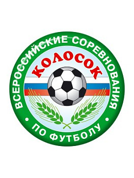 Вкладыш бумажный 50 мм на заказ